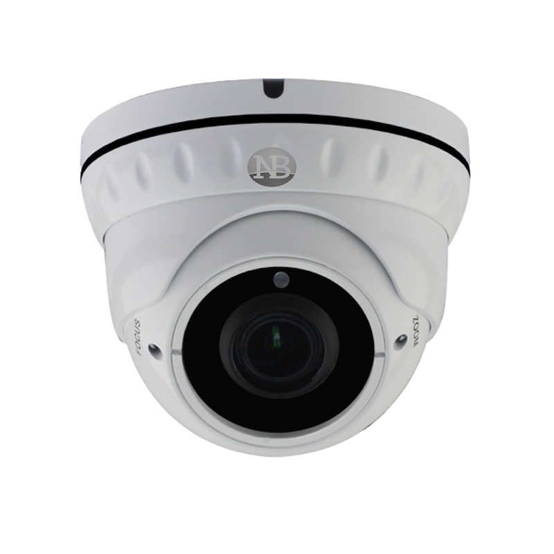 Get Newbridge E- Series DOME 4M5X IP Camera from Malaysia Distributor - vnetwork
