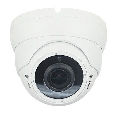 Get Newbridge E Series DOME IP Camera from Malaysia Distributor - vnetwork